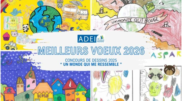 Meilleurs voeux 2026 de l'ADEI 1 Voeux 2026 ADEI